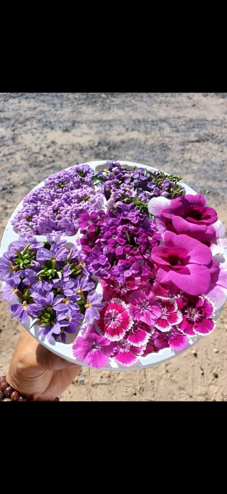 Small pack of fresh edible flowers