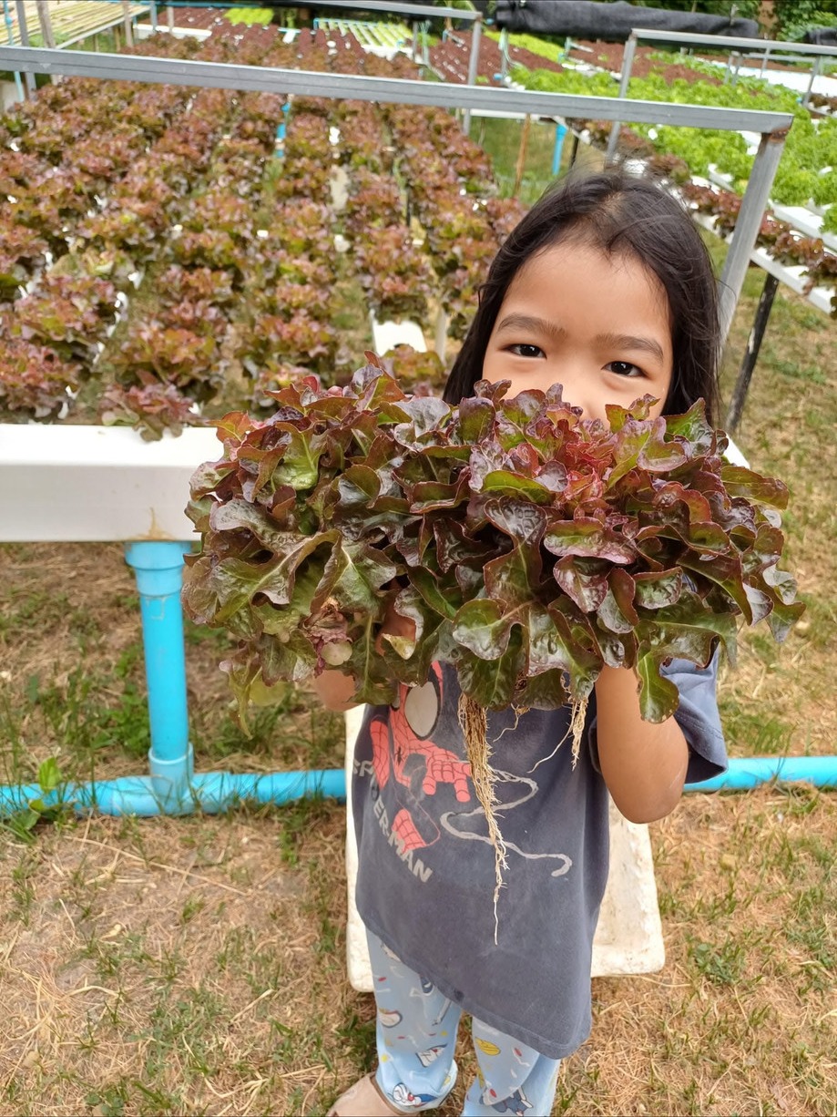 The next generation at the farm