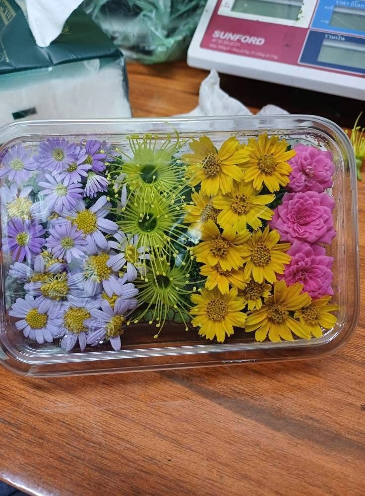 Edible flowers